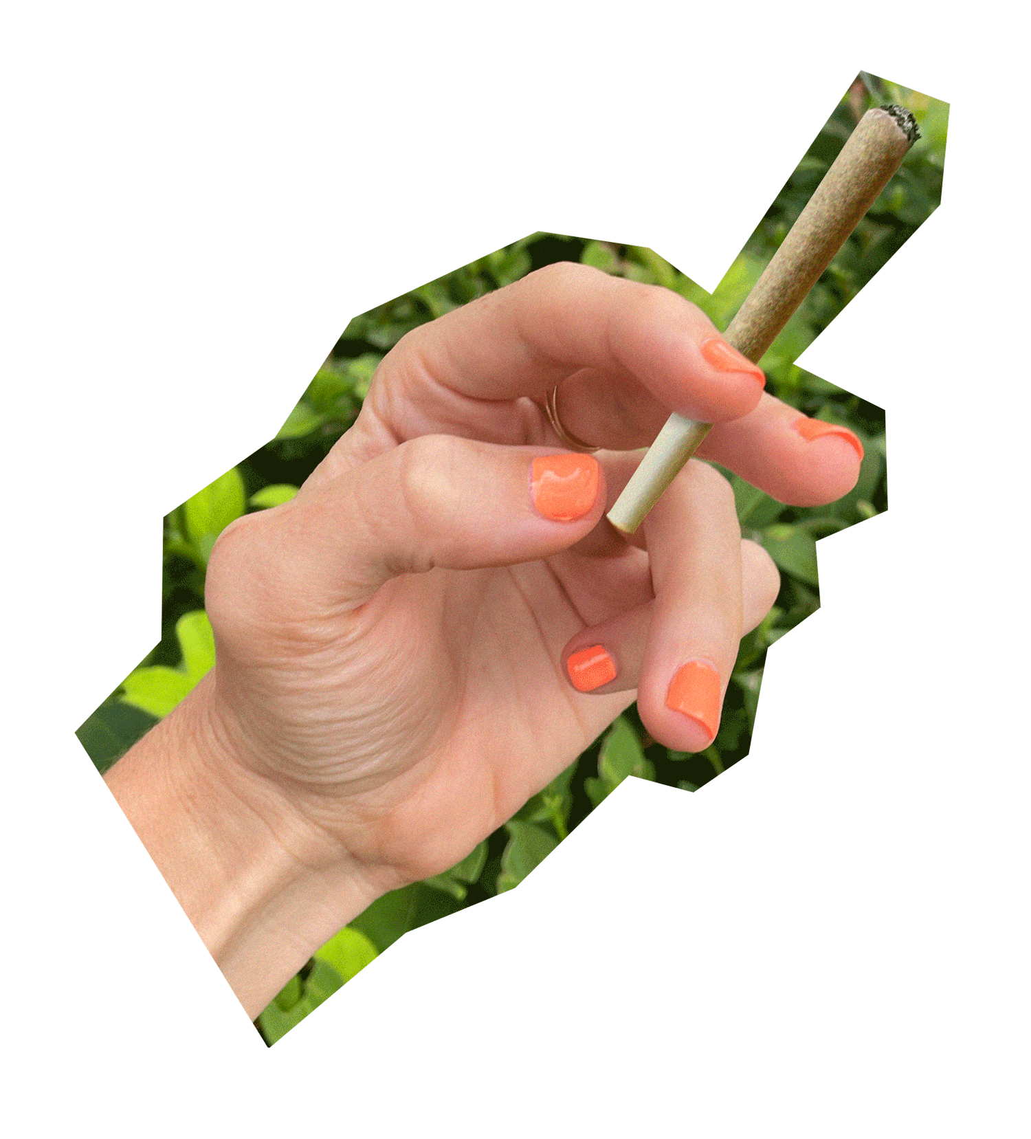 Hand holding prerolled cigarette Element